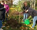 Bild: Grundschule Mähring/exb
Bei der „Woche der Gesundheit und Nachhaltigkeit“ an der Grundschule Mähring wurde von den Mitgliedern des Elternbeirates ein Apfelbaum im Pausenhof gepflanzt.
