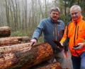 Bild: tr
Forstbetriebsleiter Norbert Zintl und Revierförster Wolfgang Pröls (von rechts) brauchen nicht lange zu suchen, um unter der Borke des gelagerten Holzes Fraßspuren des Lärchenborkenkäfers zu finden.