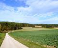 Bild: jp
Rechts von der Straße bis zum Waldrand soll, geht es nach dem Willen des Marktes Kastl, ein Solarpark bei Oberfeld in Ständerbauweise mit fünf Hektar Größe entstehen.