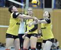 Bild: Ziegler
Gemeinsam waren sie stark, die Volleyballdamen des SV Hahnbach wie in dieser Szene bei der Ballannahme durch Kapitänin Anna Dotzler, Mittelblockerin Julia Polito und Zuspielerin Elisabeth Kiehn (von links).