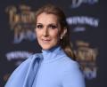 Bild: Jordan Strauss/dpa
Céline Dion.