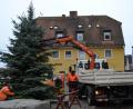 Bild: gi
Der Weihnachtsbaum am Marktplatz wird in der ganzen Advent- und der Weihnachtszeit neben der Brunnenkrippe leuchten.