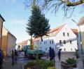 Bild: fvo
Die Edeltanne schwebt von der Trad in Waldthurn zum Marktplatz.