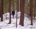 Archivbild: Josef Schmaußer
Ein Höhepunkt der Wanderung ist das rund 30 Gräber umfassenden Grabhügelfeld im Salleröder Tal. Besonders im Winter sind die Strukturen gut sichtbar.
