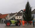 Bild: gz
Für den Weihnachtsbaum und im Mai für den Maibaum wurde am Tillyplatz eigens eine Halterung installiert.