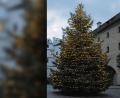 Bild: Christine Hollederer
Einer der beiden Weihnachtsbäume auf dem Gelände des Landratsamtes in Amberg.