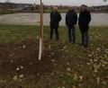 Bild: nib
Vorsitender Manfred Götz, Kirchenpfleger Günter Schießl und Pfarrer Michael Hoch (von links) freuen sich auf die ersten Birnen vom neuen Baum.