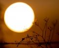 Bild: dpa
Im Winter fehlt uns vor allem eines: die Sonne.