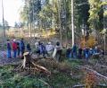 Bild: ibj
Mit Interesse verfolgten die Teilnehmer die Ausführungen der Wald- und Holzexperten.