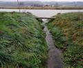 Bild: anv
Im Moment ist er ein kleines Bächlein, der Kurmhofbach. Doch wenn die Naab (Hintergrund) Hochwasser hat, tritt auch er über die Ufer. Auch Haindorf (Hintergrund) wäre von einem Hochwasser betroffen.