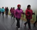 Bild: lue
Egal ob Sonne, Regen, Nebel oder Schnee: Die Nordic-Walking-Gruppe des SV Wildenreuth ist regelmäßig miteinander unterwegs.