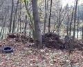 Bild: exb
Die Exkursion durch die „Frühmeß“ öffnete manchen Teilnehmern die Augen: Müll und Gartenabfälle.