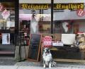 Bild: Petra Hartl
Eingerahmt von „Fisch paniert“ und wartendem Hund wartet auch das Deko-Strohschwein auf seiner Bank vor der Metzgerei Englhard auf seine Genehmigung und denkt sich wohl derweil: „Ich glaub, mein Schwein pfeift.“
