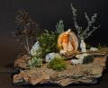 Bild: ow
Eine kleine Weihnachtslandschaft auf einer Rinde, gefertigt von Peter Herzog. Als Stall für die heilige Szene dient eine Nussschale. Die winzig kleinen Figuren können nur unter einer Lupenleuchte geschnitzt werden. Die Figuren sind im Maßstab 1:100 geschnitzt. Eine stehende Person ist zirka 1,8 cm groß.