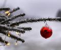 Bild: Karl-Josef Hildenbrand/dpa
Ein geschmückter Christbaum steht im Garten eines Bauernhofes.