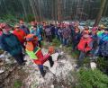 Bild: dob
Die Sicherheit der Waldarbeiter hat oberste Priorität. Fällkeile erleichtern die Arbeit. Gewusst wie. Ein Forsttechnik-Team der Bayerischen Landesanstalt für Wald und Forstwirtschaft (LWF) präsentiert den Waldbauern den Umgang.