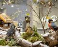 Bild: Porzellanikon/Andreas Gießler
Jede Menge „Vögel im Winter“ hält die Ausstellung für die Zuschauer bereit.