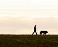 Symbolbild: Fabian Sommer/dpa
Eine Frau geht mit ihrem Hund spazieren.