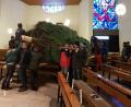 Bild: phfz
Dank eines ausgeklügelten Systems und vieler kräftiger Helfer bleiben Baum, Bänke und Altar beim Aufstellen des großen Baums unbeschadet.