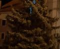 Bild: mng
Bald ist Heiliger Abend, dann erstrahlt der Christbaum vor der Stadtpfarrkirche im Lichterglanz, denn "Advent ist nicht Weihnachten". Das dauerte einem Schelm offensichtlich zu lange und so brachte er kurzerhand schon jetzt ein paar Lichter an. Die Frage darf schon gestellt werden: Wie ist er nur auf den Baum gelangt?