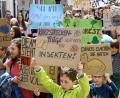 Bild: Petra Hartl
Die Teilnehmerzahlen von Fridays for Future (FFF) in Amberg haben sich über das Jahr verdreifacht. Im September 2019 marschieren 650 (überwiegend junge) Leute durch die Innenstadt. Sie demonstrieren für mehr Klimaschutz.