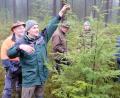 Bild: do
Dürre, Hitze und Schädlinge bringen das Naturgefüge ins Wanken. Welche Baumarten sich künftig für einen klimastabilen Wald eignen, erläutern an Jungbeständen im Detail Revierförster Martin Gottsche (Zweiter von links) und der geschäftsführende Vositzender der Forstbetriebsgemeinschaft Eschenbach Reinhard Wiesent (links).