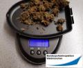 Bild: Bundespolizei Waldmünchen
Insgesamt 4,6 Gramm Marihuana, das ohne ärztliches Attest eingeführt wurde, entdeckte eine Zivilstreife bei Furth im Wald.