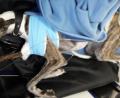 Bild: Tierrettung München e.V.
Der Windhund Felix verletzte sich beim Herumtollen in einem Münchener Park schwer. In einer Notoperation entfernten Ärzte einen langen Stock aus seinem Brustkorb.