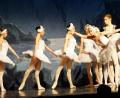 Bild: weu
Grazil schweben die Schwäne über die Bühne. Das Russische Ballett aus Moskau beeindruckte mit einer feinsinnigen Choreographie in der Schwarzachtalhalle.