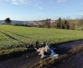 Bild: Anne Wiesnet
Mitten in der schönen Landschaft bei Pressath liegt ein Haufen Müll - Überbleibsel von Silvester.