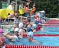 Archivbild: Alfred Schwarzmeier
Im Schwimmerbecken des Weidener Schätzlerbads warten die Teilnehmer auf den Start. Am 16. Mai gibt's eine Neuauflage des Sportwettbewerbs.