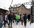 Archivbild: Eva Krafczyk/dpa
Eine Schulklasse besucht das KZ Auschwitz-Birkenau.