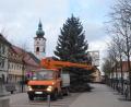 Bild: Benkhardt
Der Christbaum wurde am Dienstag vorzeitig abgebaut.