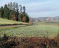 Bild: anv
Ein fast schon gewohnter Anblick: Die Wiesen und Felder bei Ragenhof im Landkreis Schwandorf haben dieses Jahr noch keinen Schnee gesehen. Ähnlich sieht es in der restlichen Oberpfalz aus.