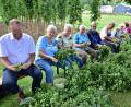 Bild: no
Einen festen Platz im Jahresablauf nimmt beim Gartenbauverein Illschwang das Hopfenernte ein. 2019 zupften an die 50 Freiwillige insgesamt 117 Kilo Hopfendolden.