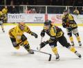 Bild: Andreas Brückmann
Nach dem Fehlstart gegen Buchloe gewann der ERSC Amberg (im Bild vorne rechts Lukas Salinger) alle folgenden Spiele in der Aufstiegsrunde zur Bayernliga. Am Freitagabend erwartet der Tabellenzweite im Top-Spiel den Verfolger ESC Kempten.