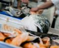 Bild: Markus Scholz/dpa/dpa-tmn 
Zur Kochausbildung gehören auch die Grundlagen: Azubis lernen zum Beispiel wie man einen Fisch filetiert.