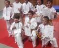Bild: exb
Die Schwarzenfelder Judokas sind richtig gut in Form.