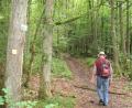 Archivbild: mp
Ein Gäste-Magnet im Landkreis Schwandorf ist das weitläufige Netz aus Wanderwegen. Auf unzähligen Kilometern durch Wälder und Fluren können leidenschaftliche Fußgänger ihrer Passion nachgehen.