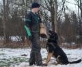 Bild: exb
Das Training mit den Vierbeinern steht im Mittelpunkt beim Schäferhundeverein Süß.