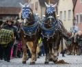 Bild: Armin Weigel
Pferde werden zum Berchinger Rossmarkt geführt. Der Berchinger Rossmarkt gilt als das größte Wintervolksfest im Freistaat. Foto: Armin Weigel/dpa