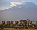 Archivbild: Ben Curtis/AP/dpa
Der Kilimandscharo, Afrikas höchster Berg.
