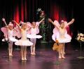 Bild: Dagmar Williamson
Schmetterlinge, die von Blume zu Blume tappeln: Jede Schülerin der Tanzwerkstatt Amberg bekam von Karin Uschold eine passende Rolle. Sie entwickelte unter anderem auch eine besondere Choreographie zum "Tanz der Zuckerfee" von Pjotr Iljitsch Tschaikowski.