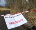 Bild: Gabi Schönberger
Ach, Sabine: Der Weg bei Hammerharlesberg sieht einladend aus, Spaziergänger bleiben aber einige Tage nicht willkommen. Geknickte Baumkronen, die zu fallen drohen, könnten ihnen sonst Probleme bereiten.
