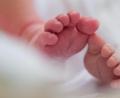 Bild: Arno Burgi/dpa
Auf vielen kleinen Füßen ruht die Hoffnung hinsichtlich der demografischen Entwicklung in der Region.