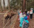 Bild: rha
Keineswegs scheu ist das Rotwild im Hirschgehege bei Sorghof. Die Kita-Kinder aus Sorghof haben zusammen mit ihren Erzieherinnen die Buben und Mädchen vom Waldkindergarten Räuberwald aus Kainsricht zu einem Gegenbesuch eingeladen.