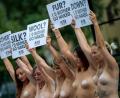 Bild: Monika Skolimowska/dpa
Mitglieder der Tierschutzorganisation Peta protestieren während der Berliner Modewoche vor dem Veranstaltungsort, dem alten Industriebau E-Werk.