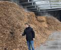 Bild: ANDREAS ROYER
Kraftwerksleiter Michael Jakuttis überzeugt sich von der Qualität der Hackschnitzel: Der Holzbedarf am Eichelberg liegt bei etwa 80 000 Tonnen pro Jahr.
