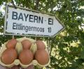 Bild: Armin Weigel
Eier werden vor ein Schild mit der Aufschrift "Bayern - Ei" nahe dem Betriebsgelände der Firma gehalten. Foto: Armin Weigel/Archiv