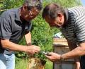 Bild: pko
Der Imkerverein Schwarzhofen bietet Schulungen für alle Interessierten im Bienengarten an. Dabei wird das Handwerkszeug für die Arbeit mit den Bienenvölkern vermittelt.